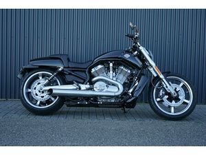 VRSCF V-ROD MUSCLE ABS