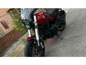 VENDO BENELLI LEONCINO 500 (2021 - 25) USATA A MODENA (CODICE 9857550) - MOTO.IT