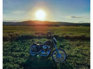 HARLEY-DAVIDSON SPORTSTER SEVENTY-TWO 2012 À VENDRE À QUÉBEC