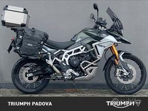 TRIUMPH TIGER 900 RALLY PRO - 2024