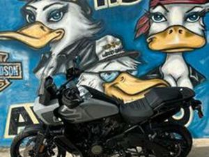 HARLEY-DAVIDSON PAN AMERICA 1250 SPECIAL