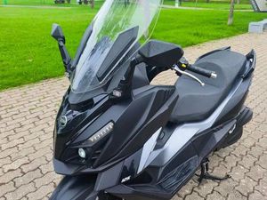 SYM CRUISYM 125 ALPHA ALFRAGIDE