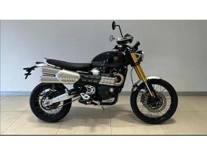 VENDO TRIUMPH SCRAMBLER 1200 XE (2024 - 25) NUOVA A MONTERIGGIONI (CODICE 9858249) - MOTO.IT