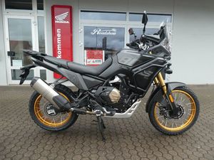 VOGE DS800X RALLY