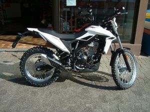 BETA ALP 4.0 MODELL 2025