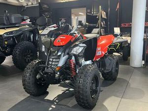 CAN-AM ATV DS 250
