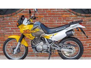 VENDO HONDA NX 650 DOMINATOR (1996 - 02) USATA A ASIAGO (CODICE 9860563) - MOTO.IT