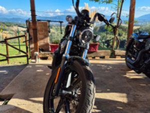 HARLEY DAVIDSON NIGHTSTER 975 2024