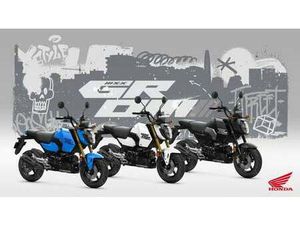 2025 NEW HONDA MSX125 GROM, NEW COLOURS, COMFORT AND TRAVEL PACK, NEW BODY WORK