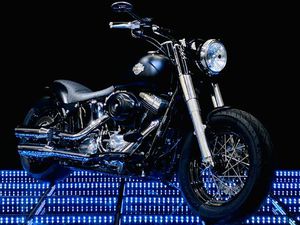 FLS SOFTAIL SLIM ABS