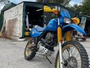 SUZUKI DR 600 - 1985