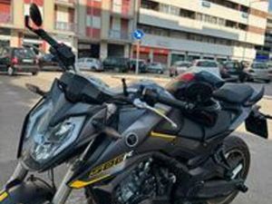 VOGE BRIVIDO 500R 2024