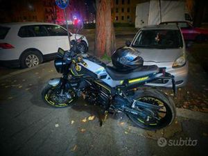 BENELLI LEONCINO 250 - 2022