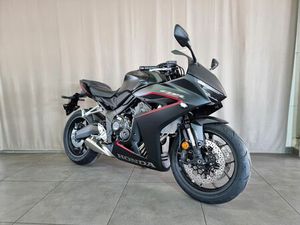 HONDA CBR650R I MODELL I NEU | VORBESTELLEN 2026