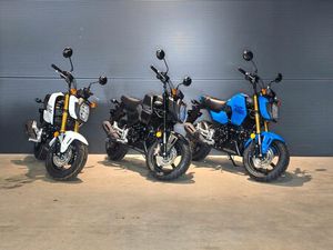 HONDA MSX 125 GROM I 2025 | SOFORT | SUMMER-DEALS