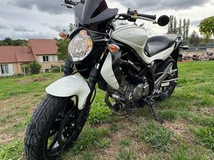 SUZUKI GLADIUS 650 CC A2