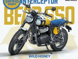 ROYAL ENFIELD BEAR 650 WILD HONEY