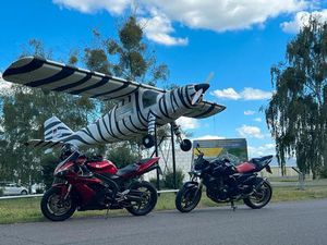 KAWASAKI Z1000 ❌NUR DIESER WOCHE 2700 ABHOLEN❌