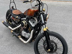 CUSTOM BIKE HARLEY DAVIDSON SPORTSTER CANTON GRISONS -