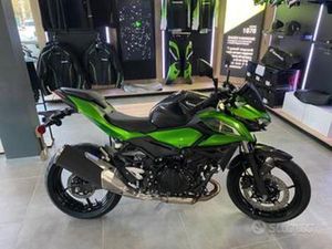 KAWASAKI Z 500 2026