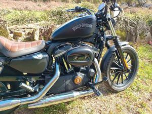 HARLEY DAVIDSON - 883 IRON