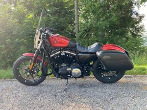 OCCASION HARLEY-DAVIDSON SPORTSTER XL 883 N IRON