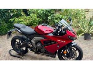 DAYTONA 660 (2024 - 25)