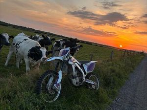 RMZ 250 VERKAUF/TAUSCH