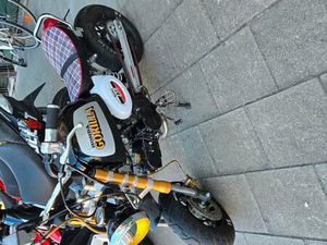 ② BULET DAX B KLAS IN ZEER MOOI STAAT