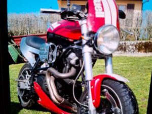 BUELL X1 RACING STRIPE