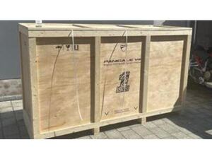 PANIGALE V4 BAGNAIA 2023 WORLD CHAMPION REPLICA (2024)