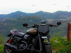 HARLEY-DAVIDSON STREET ROD