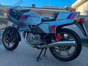 DUCATI PANTAH 500 SL 1981