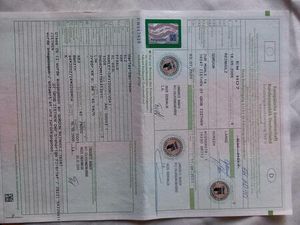 HARLEY DAVIDSON SPORSTER