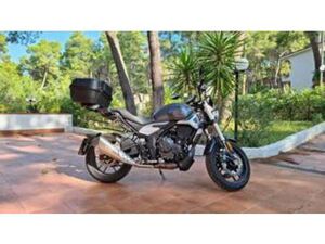 TROFEO 500AC (2022 - 25)