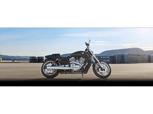 2016 V-ROD® MUSCLE
