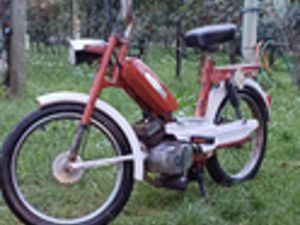 GARELLI GULP FLEX 50 CC