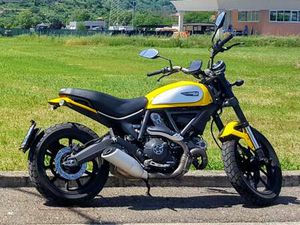 DUCATI SCRAMBLER ICON ORO