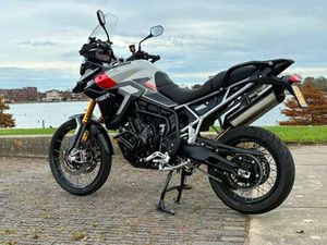 TIGER 900 RALLY PRO