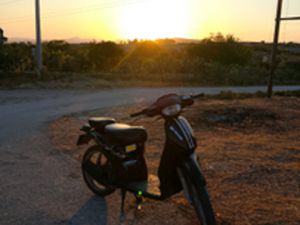 SCARABEO MINARELLI 50(70)