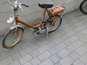 NECKERMANN GARELLI MOSQUITO