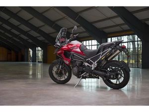 TIGER 1200 GT PRO - BLACK WEEKS ACTION