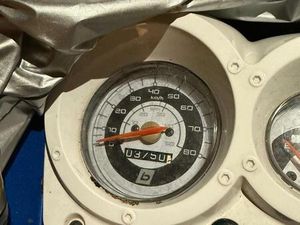 BEELINE VELOCE GT 50