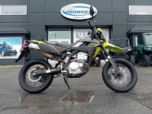 2023 KAWASAKI KLX300 SUPERMOTO