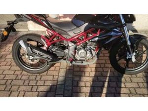 VENDO BENELLI BN 125 (2021 - 25) USATA A SABBIO CHIESE (CODICE 9870270) - MOTO.IT