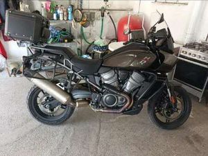 HARLEY-DAVIDSON PAN AMERICA STANDARD BRONZO