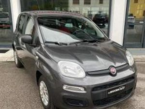 FIAT PANDA 1.2 EASY NEO PATENTATI!