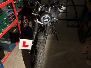 MUTT HILTS, 2023, 125 (CC) (GREY)