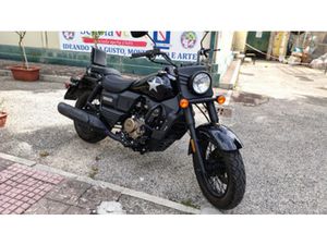 RENEGADE COMMANDO 125