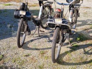 SOLEX 3800